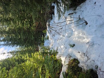 Flat Rock Creek Trail