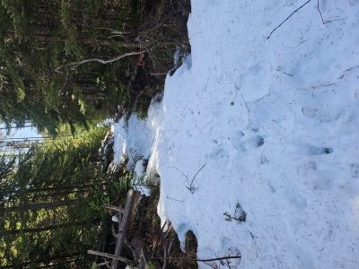 Flat Rock Creek Trail