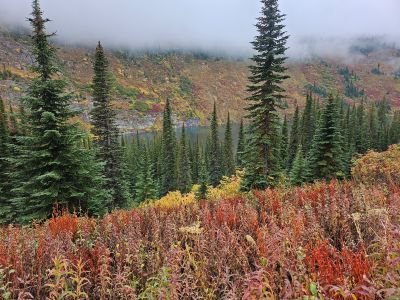 Along the Trail to Pearl Lake
