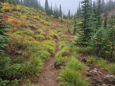 Along the Trail to Pearl Lake