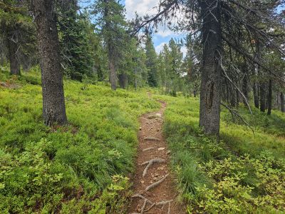 Stateline Trail