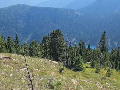 Lower & Middle Oregons