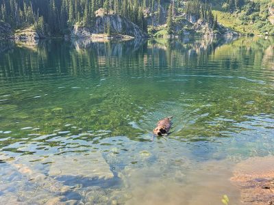 Middle Oregon Lake