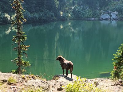 Skye at Lower Oregon Lake