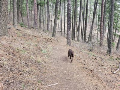 Mineral Ridge Recreation Area trail