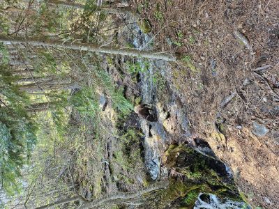 Cascade Creek