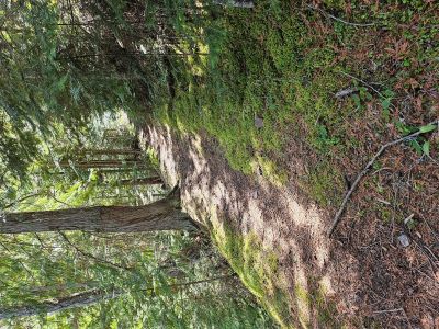 Old Iron Mtn Trail