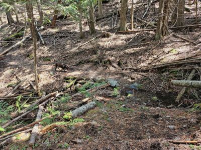 Old Iron Mtn Trail