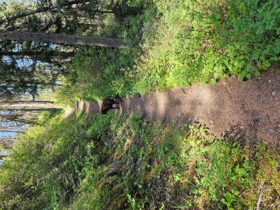 St. Regis River Trail