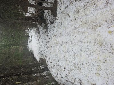 Lots of snow past 1st falls