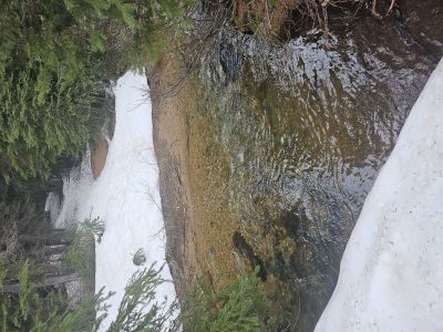 North Fork Trout Creek