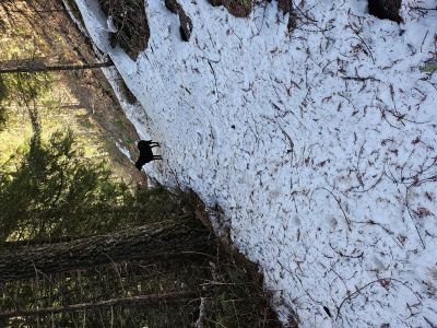 North Fork Trail