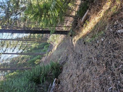 North Fork Trail