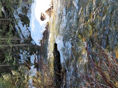 North Fork Creek