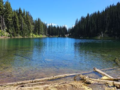 Pear Lake
