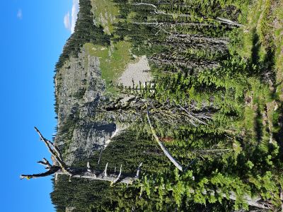 Along the Stateline