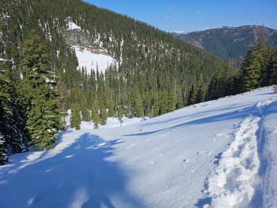 Along the Trail