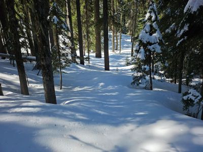 Along the Trail