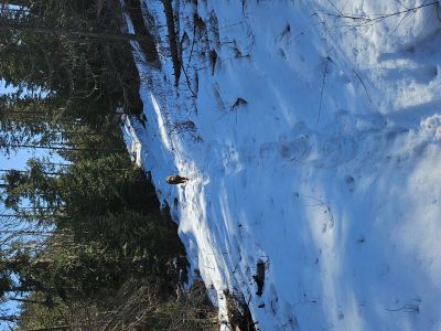 Connector Trail