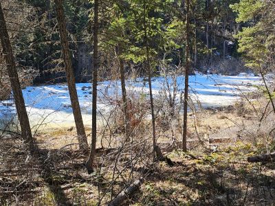 Frozen Ponds Along Trail