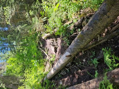 Climb Down to Waterfall