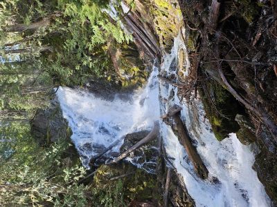 Ward Creek Falls