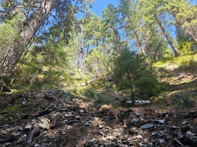 The Climb Back to Main Trail