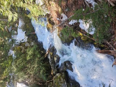 Ward Creek Near Top of Falls