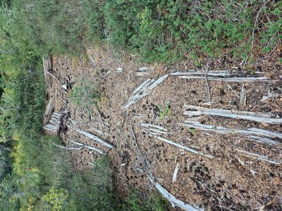 Mining Cabin Remains