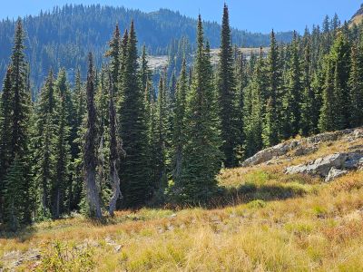 Looking at Ward Peak Lake