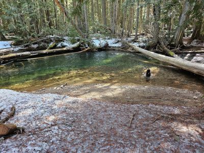 Swimming Hole