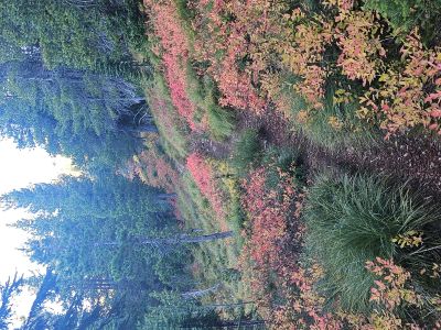 State Line Trail