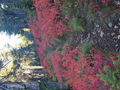 State Line Trail