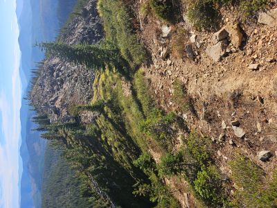 Ridge Trail