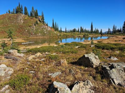 Adjoining Pond