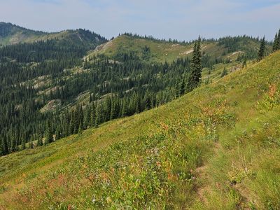 Along the Trail