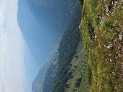 Looking Down Straight Creek