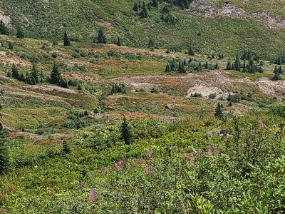 Elk Basin Below