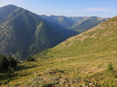 Upper Straight Creek
