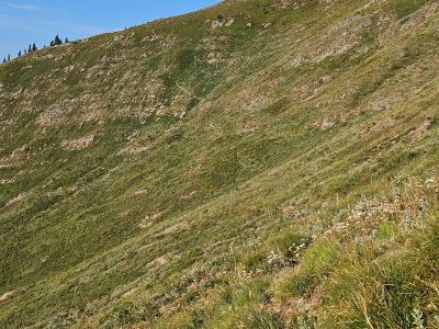 Climb back to Ridge
