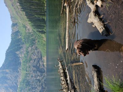 Skye at Cliff Lake