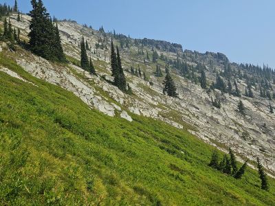 Along on Trail