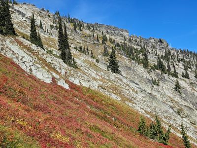 Slope of Eagle Peak