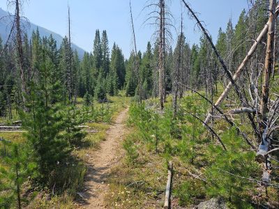 On the trail