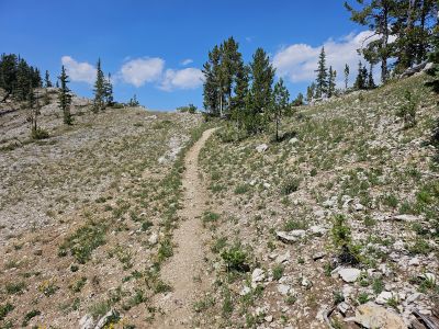 Saddle above Phyllis