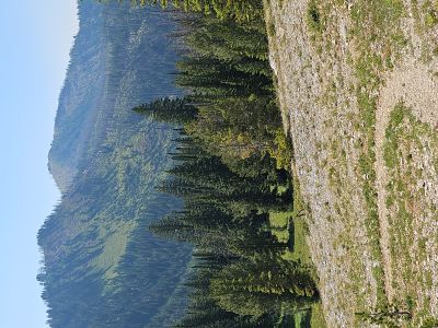 Bitterroot Pass