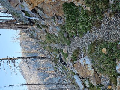 Along the Trail