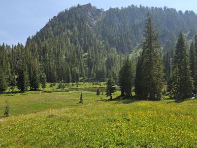 Meadow Below Oreamnos Lake