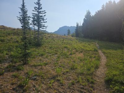 Pintler Pass