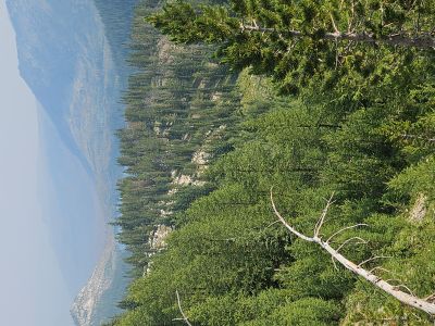 Johnson Lake from Pintler Pass